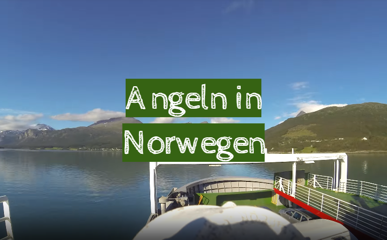 Angeln in Norwegen: Tipps der erfahrenen Fischer.