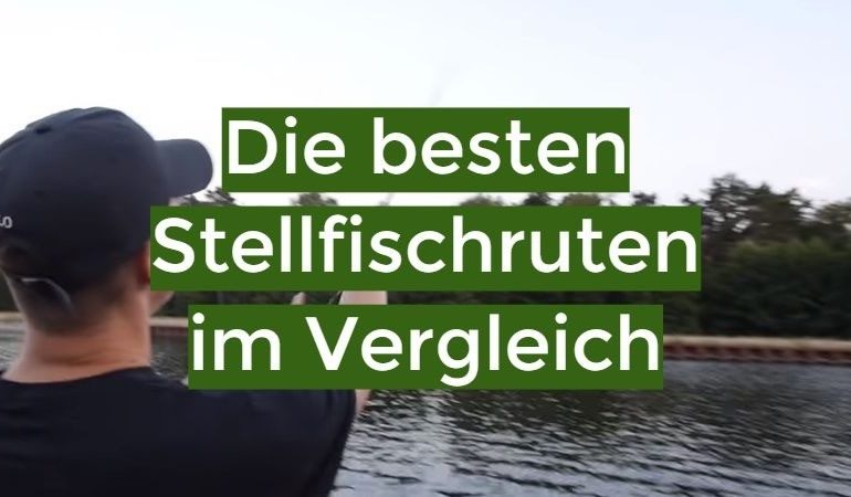 Stellfischrute Test Oktober 2024: Die besten 10 Stellfischruten im Vergleich