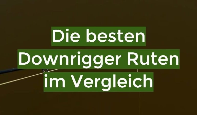 Downrigger Rute Test November 2024: Die besten 5 Downrigger Ruten im Vergleich